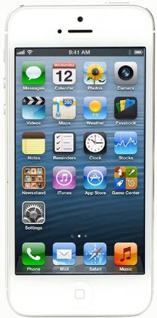 Смартфон Apple iPhone 5 64Gb White & Silver - Нижнекамск