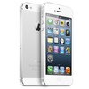 Apple iPhone 5 64Gb white - Нижнекамск